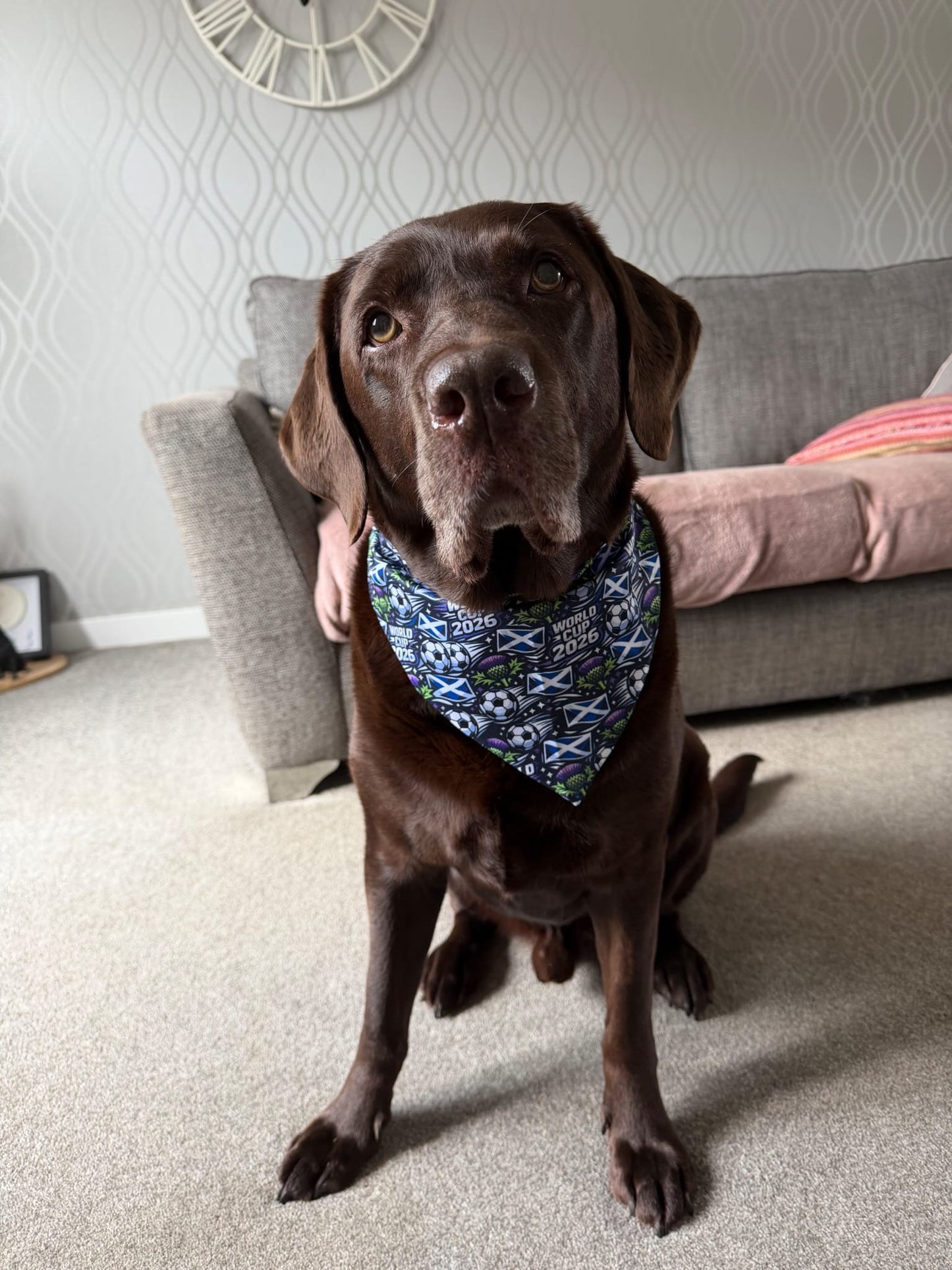 Scotland World Cup Bandana