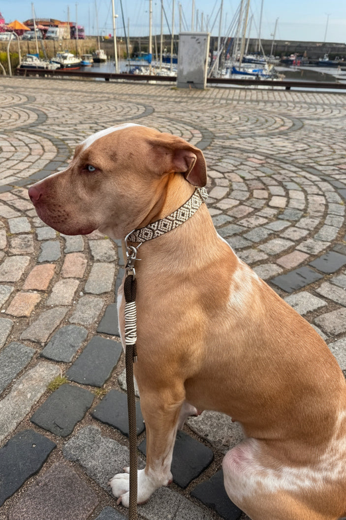 Khaki Jacquard Collar & Multiway Leash Set