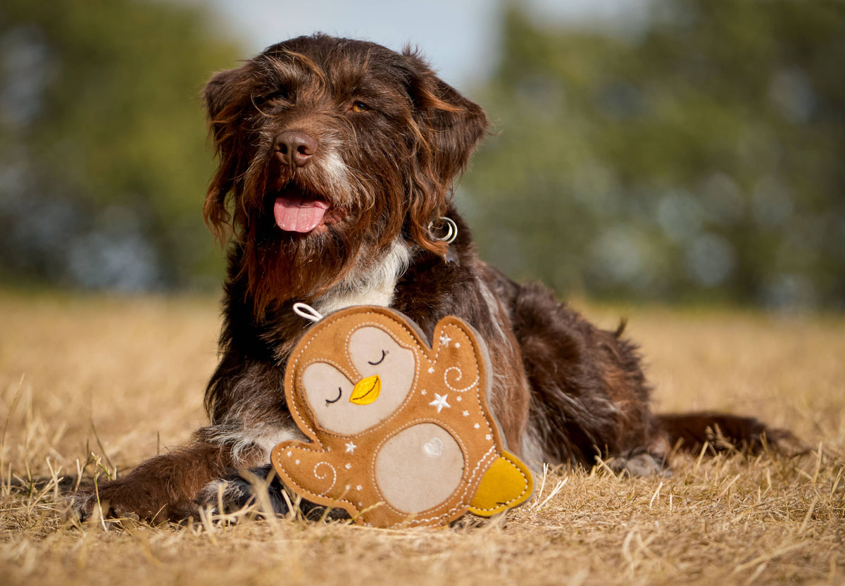 Christmas Poppy the Gingerbread Penguin Tough Dog Toy
