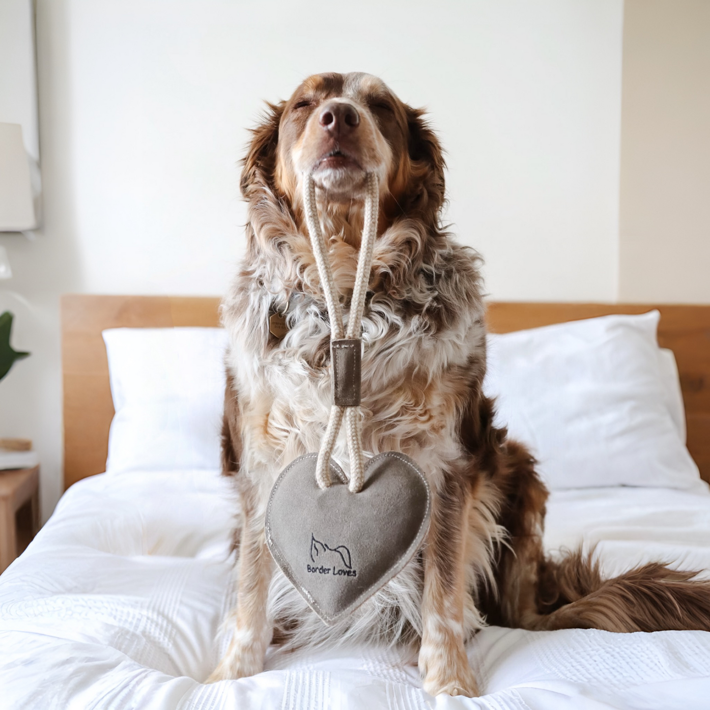 All Natural Heart on a Rope Eco Dog Toy