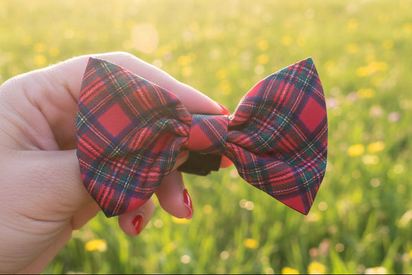 Royal Stewart Bow