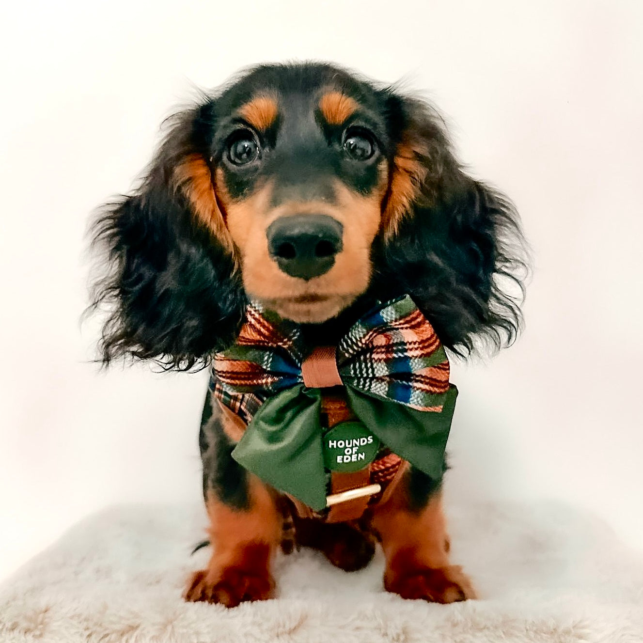 Oak Forest Plaid Sailor Bow