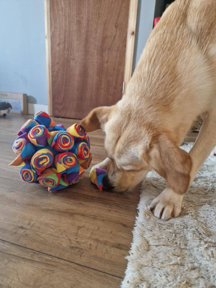Snuffle Cage Ball