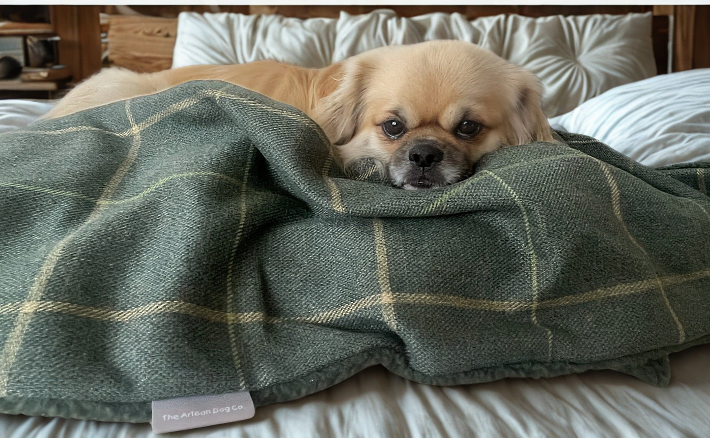 The Arlo Collection Dog/Pet Blanket - Forest Green Check