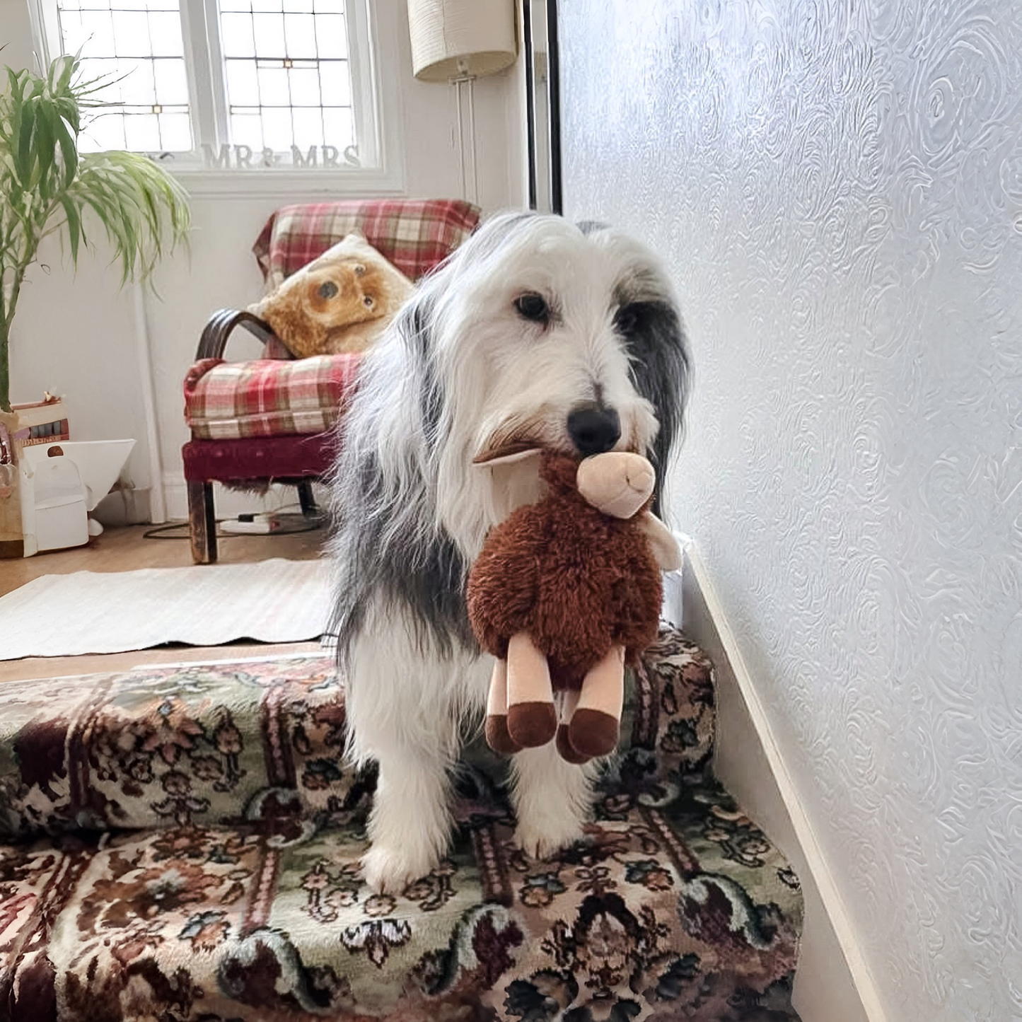 Best Selling Sansa Sheep Dog Toy