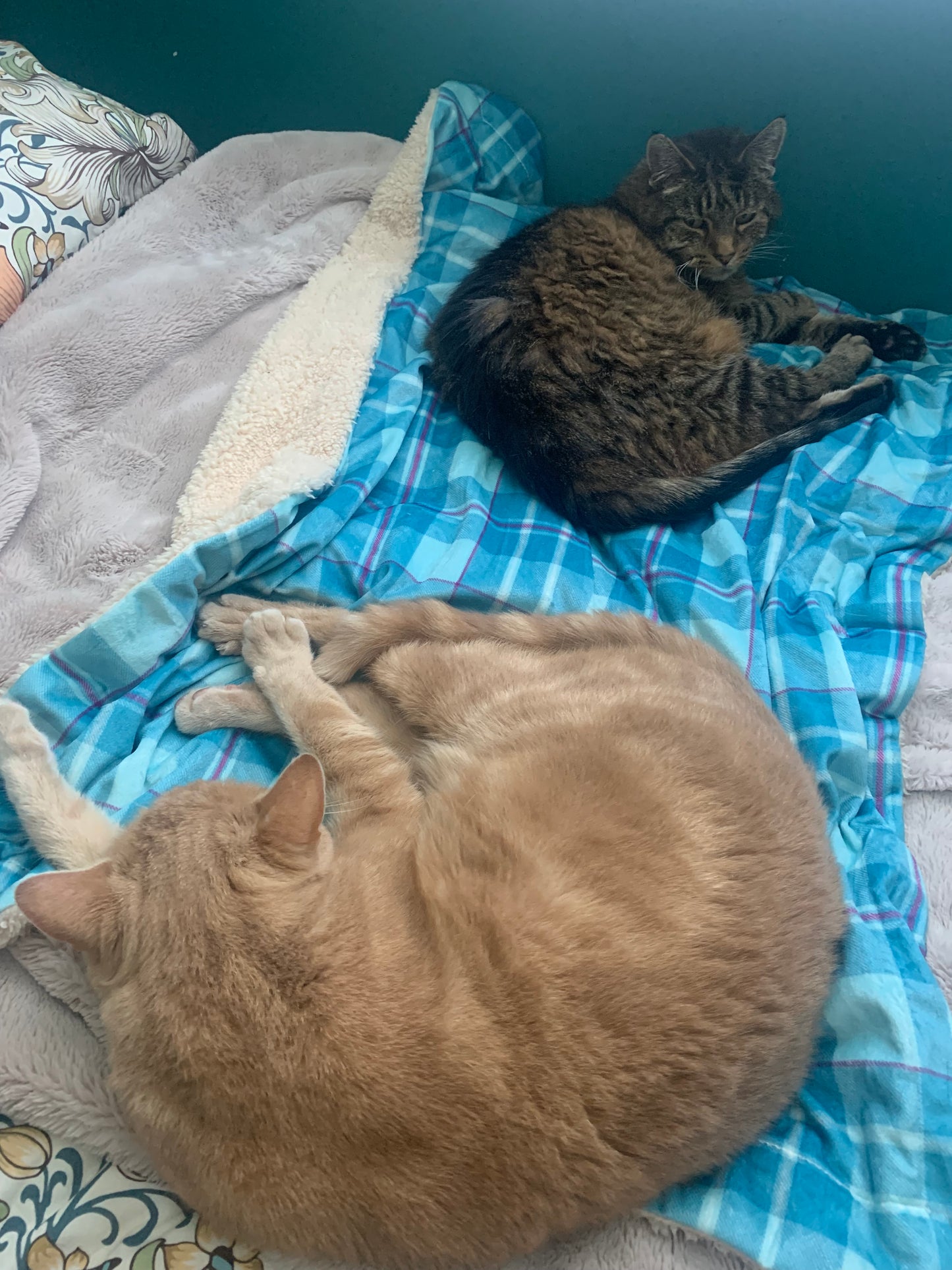 Arran Snuggle Blanket