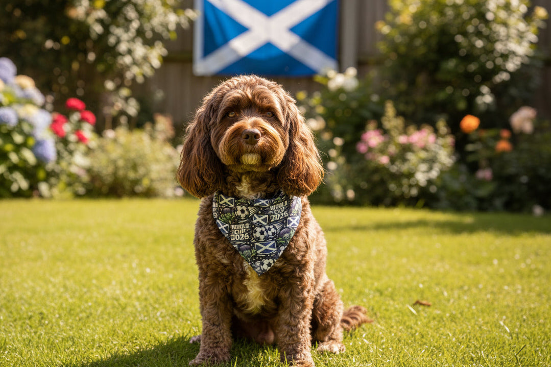 Scotland World Cup Bandana