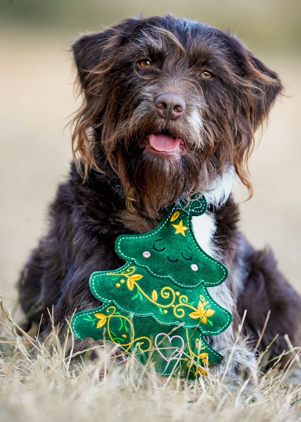 Christmas Evie the Evergreen Christmas Tree Eco Dog Toy