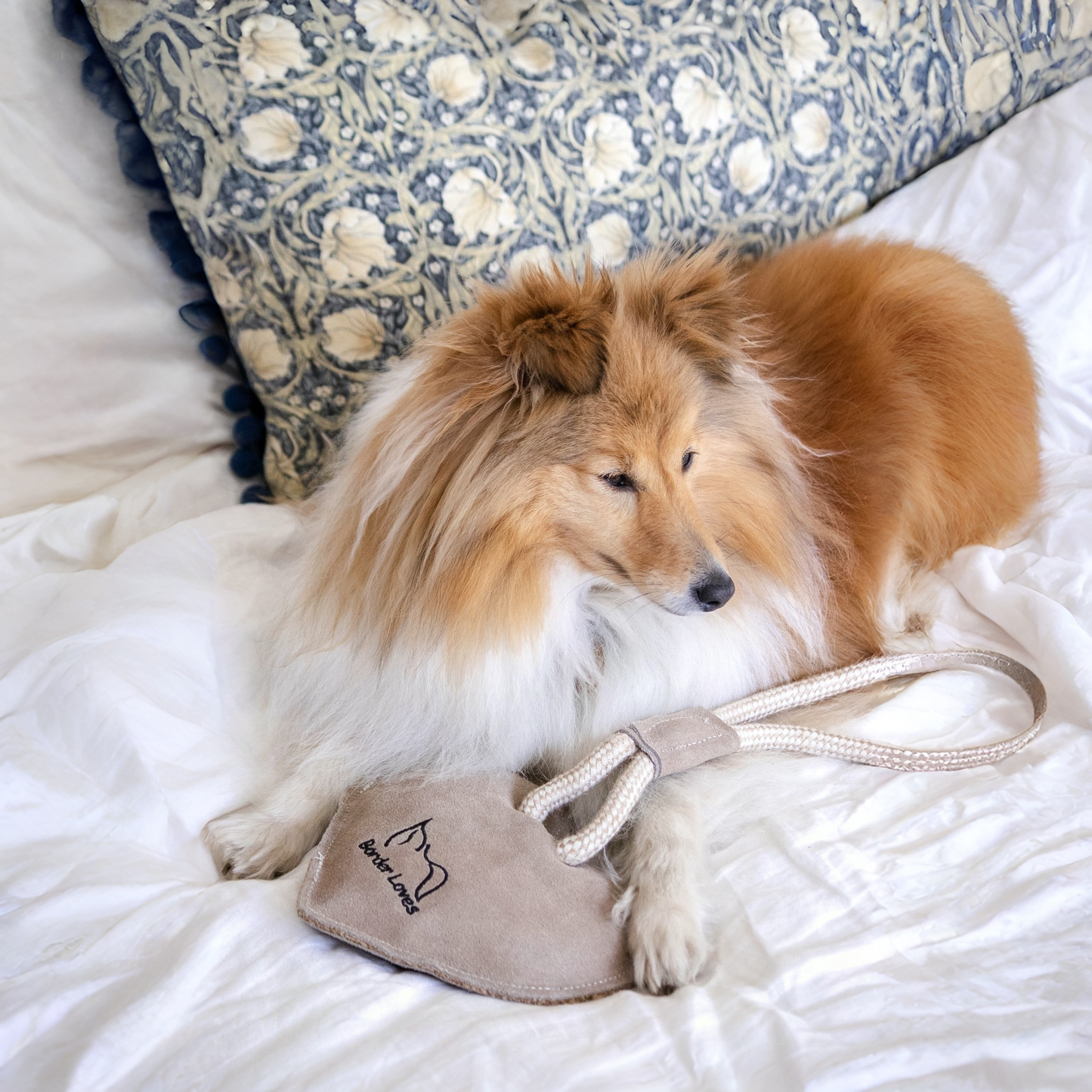 All Natural Heart on a Rope Eco Dog Toy