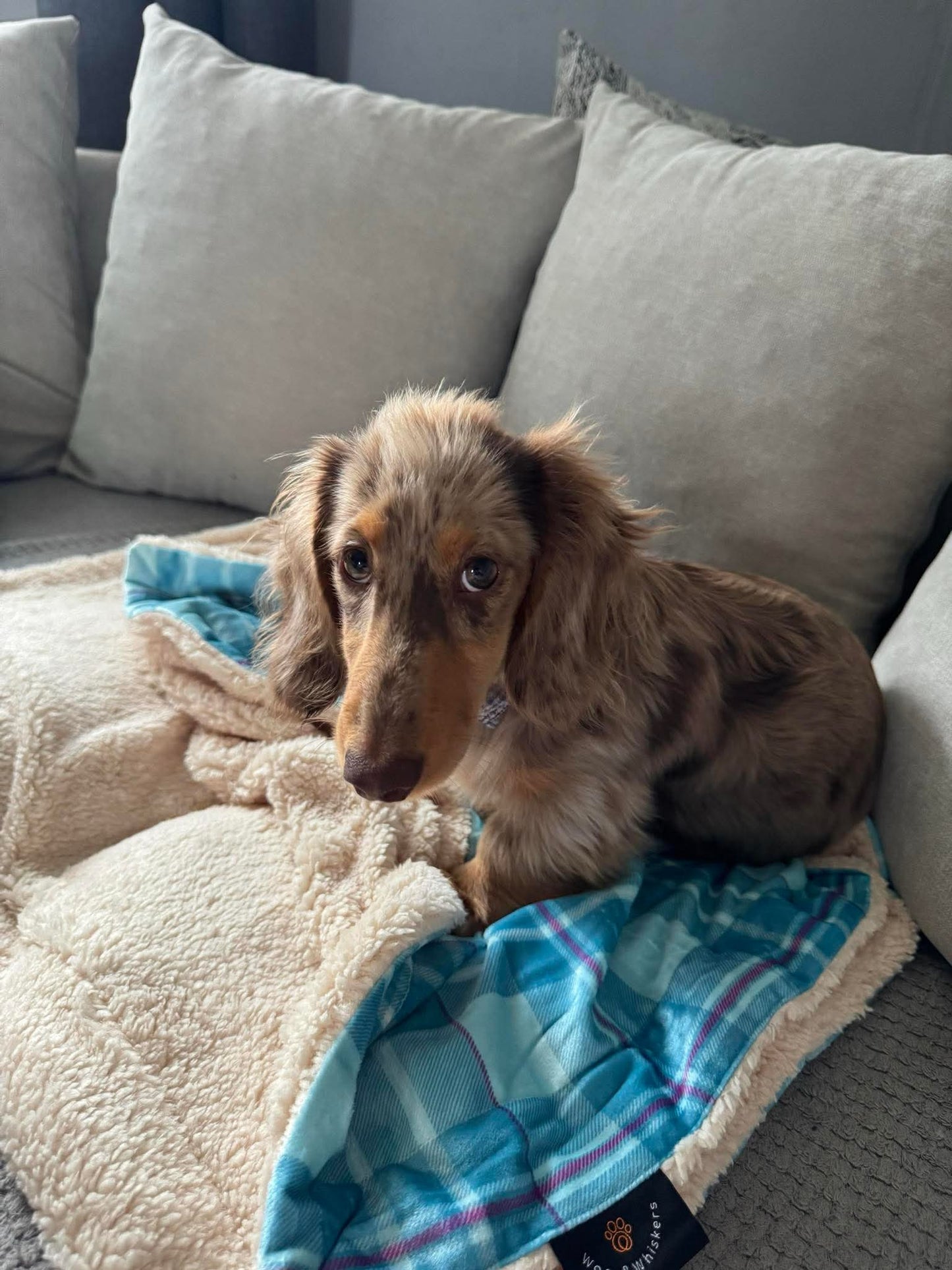 Arran Snuggle Blanket