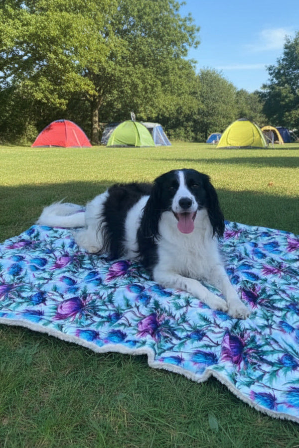 Bonnie Thistle Snuggle Blanket - now in Supaw Size