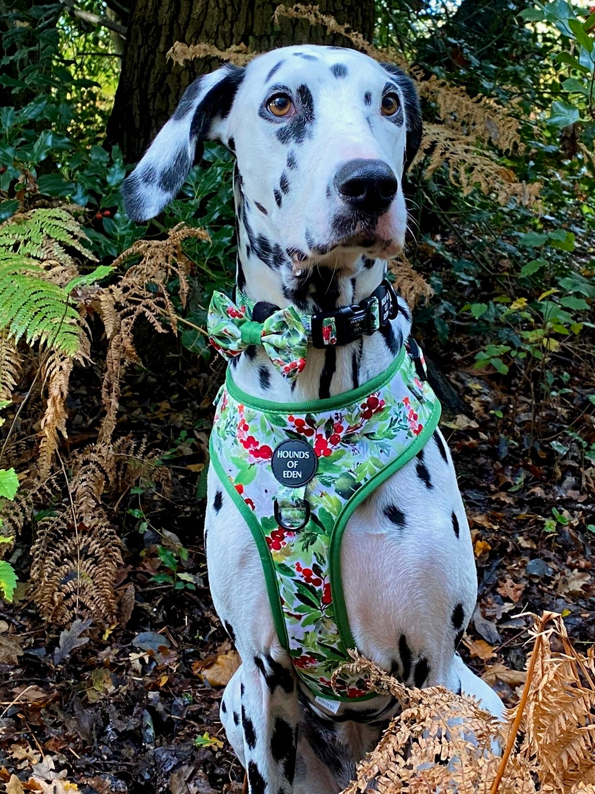 Winter Spruce & Berries Harness