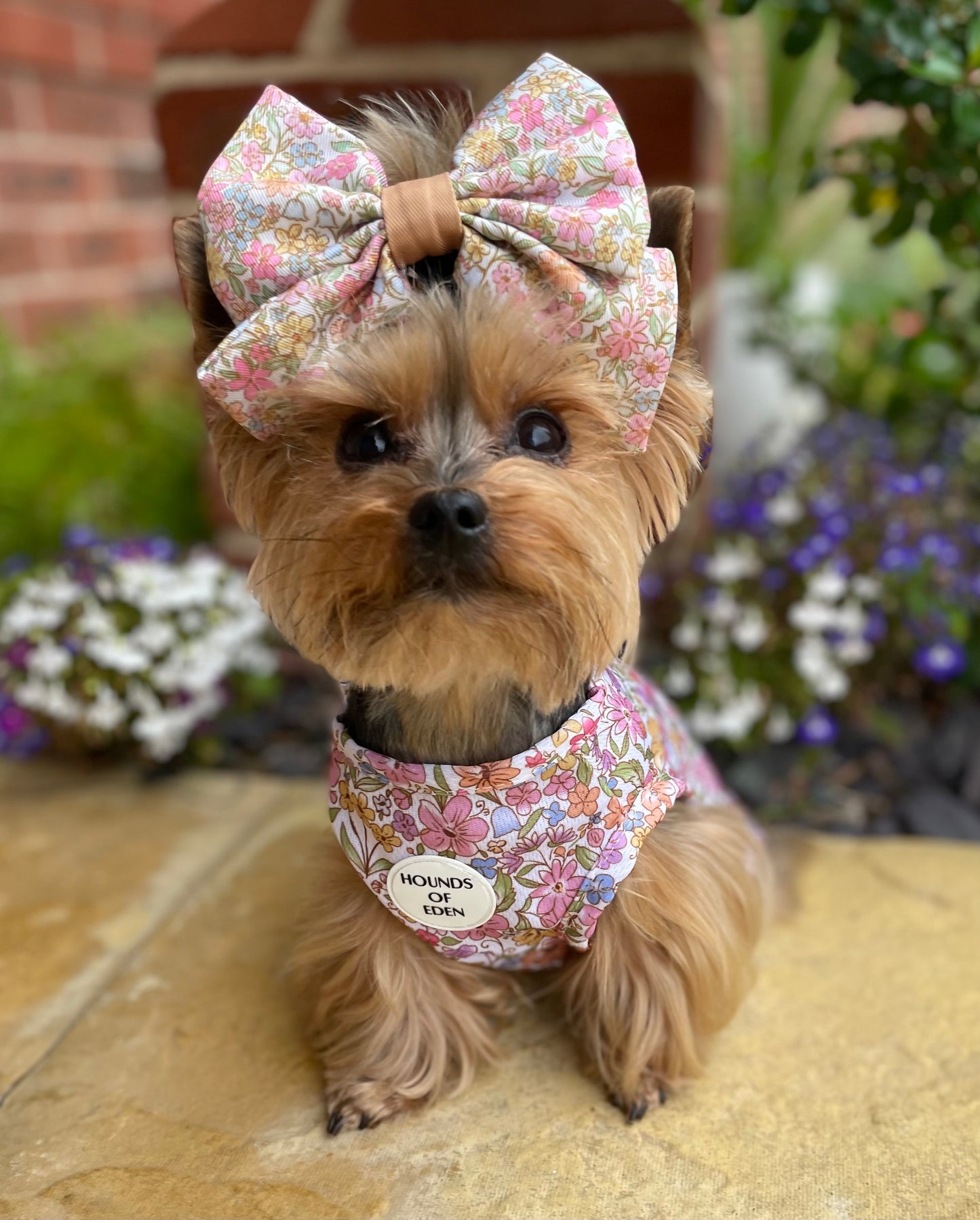 Pastel Petals Dog Cooling Vest