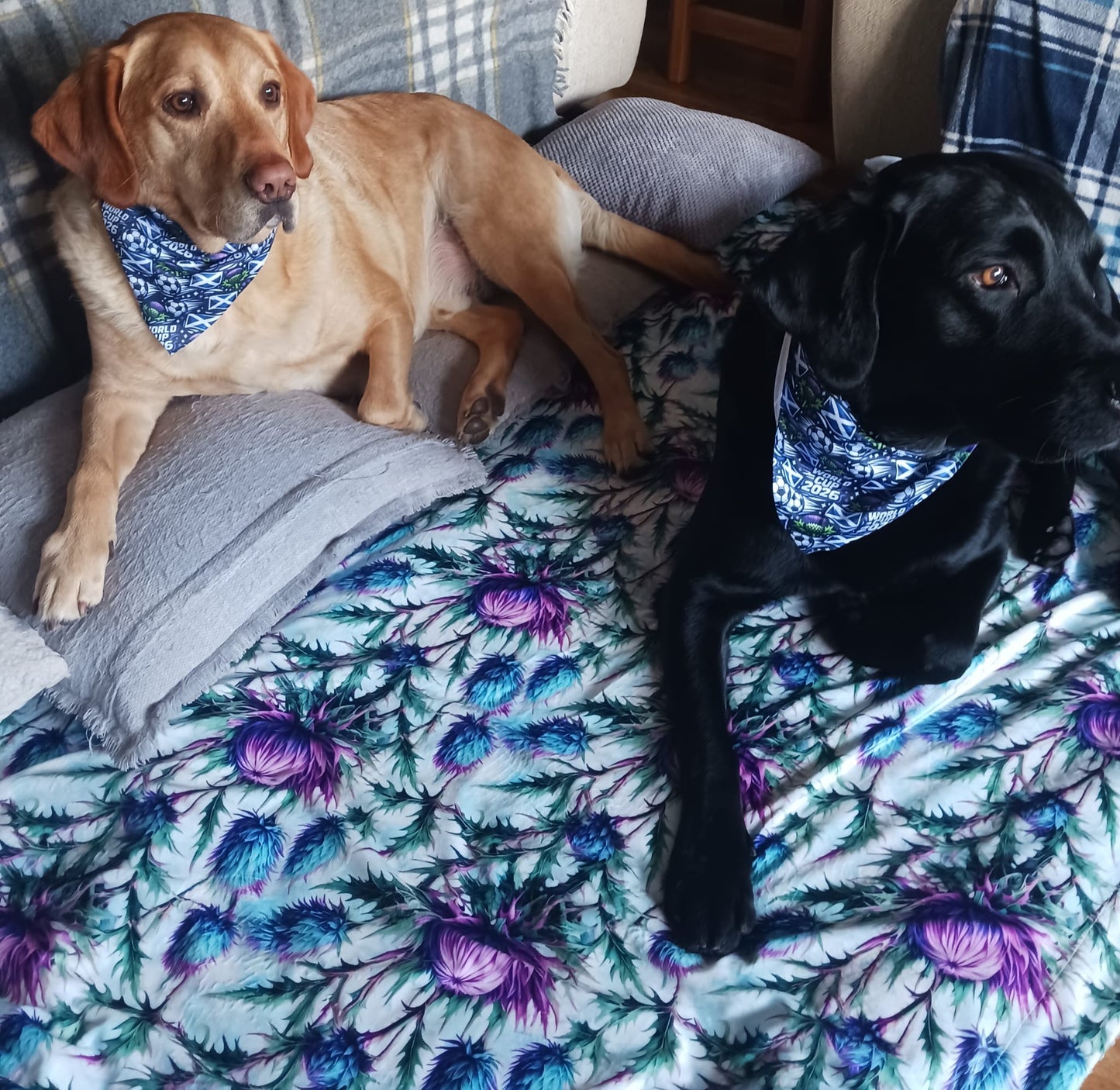 Bonnie Thistle Snuggle Blanket