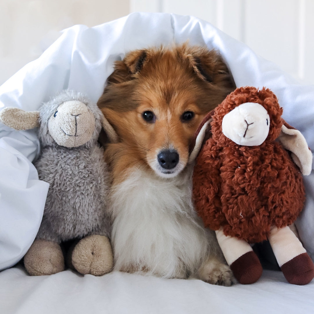 Best Selling Sansa Sheep Dog Toy