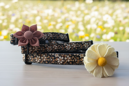 Collier pour chien Black Isle Blossom