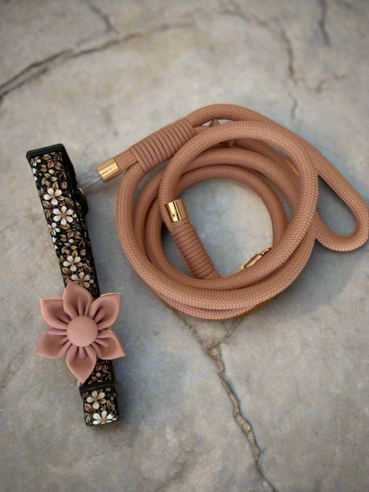 Blossom Bundle