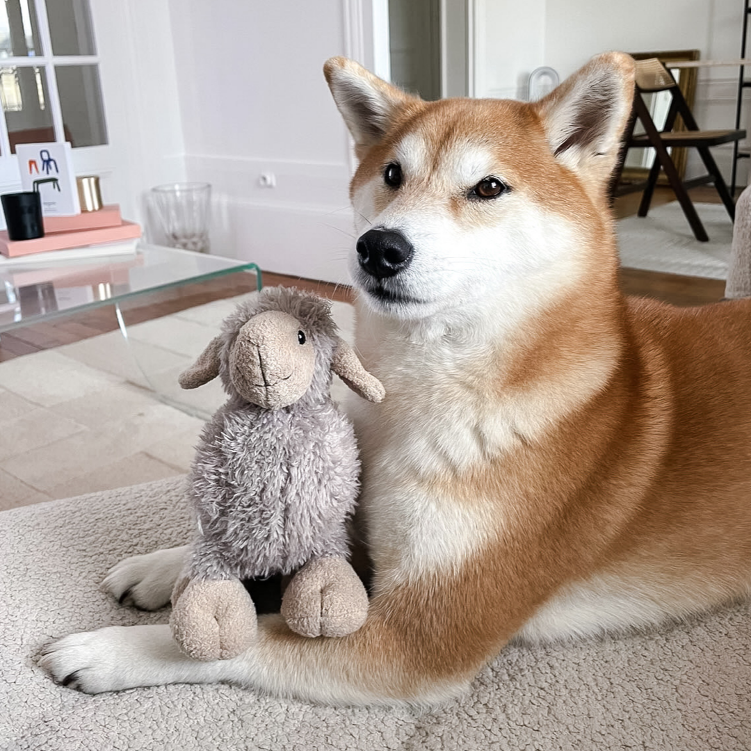Best Selling Luca Lamb Dog Toy