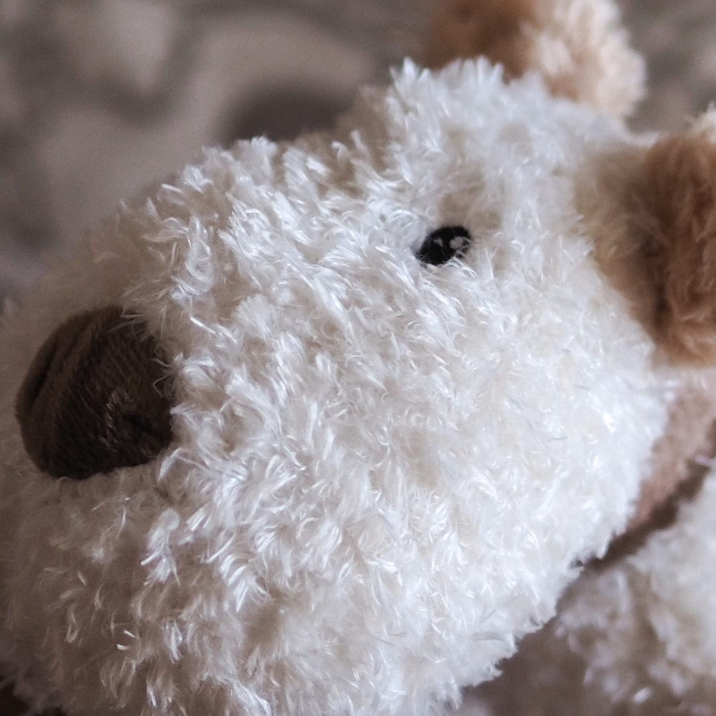 ‘Bingley’ - Popular Plush Squeaky Squidgy Dog Toy