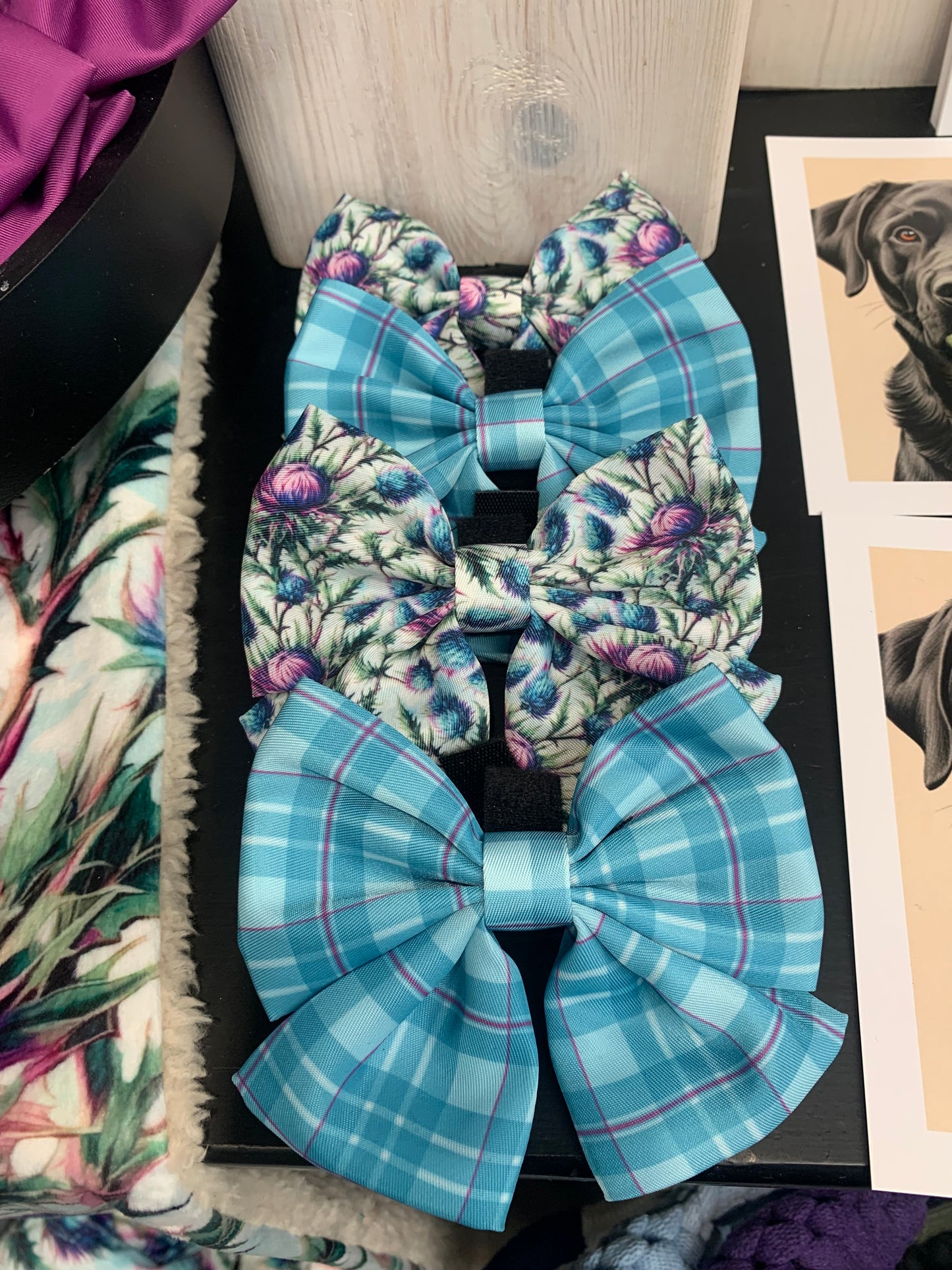 Thistle Sailor Bow Collar Accessory
