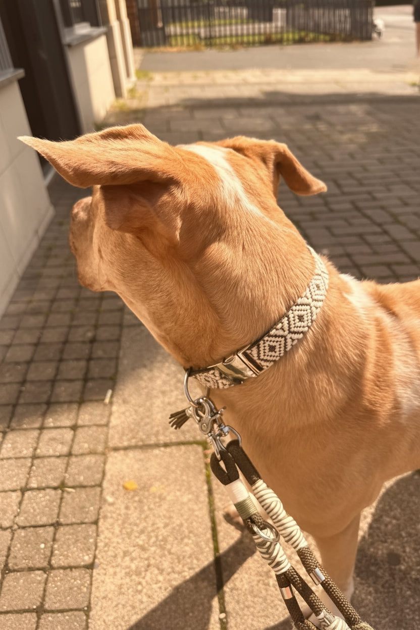 Khaki Jacquard Collar & Multiway Leash Set