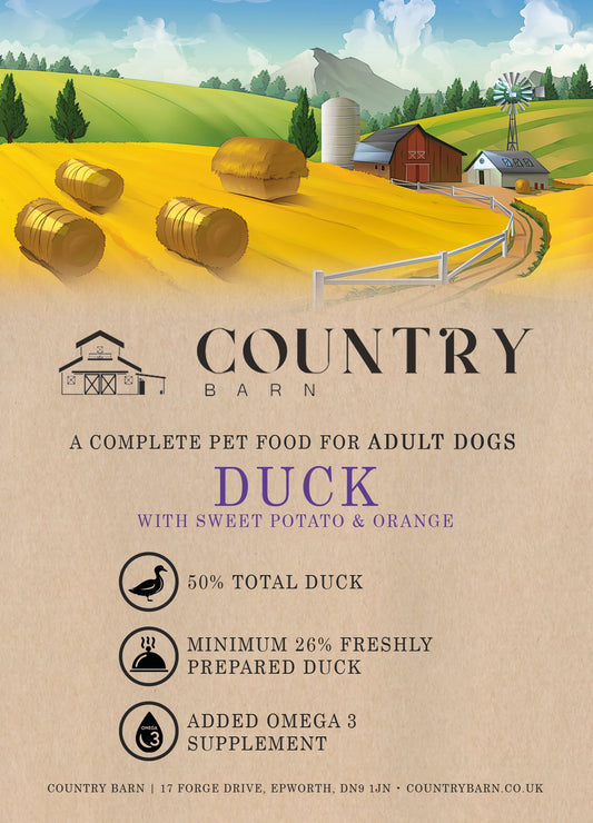 Duck & Orange