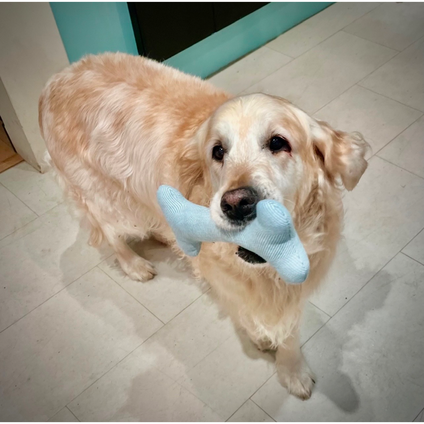 Handmade Luxury Wool Bone Comforting Dog Toy