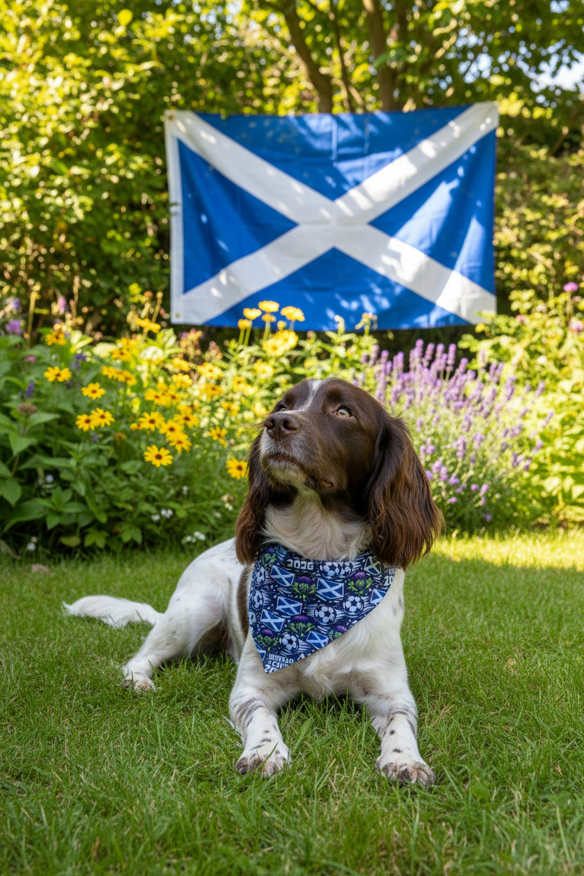 Scotland World Cup Bandana