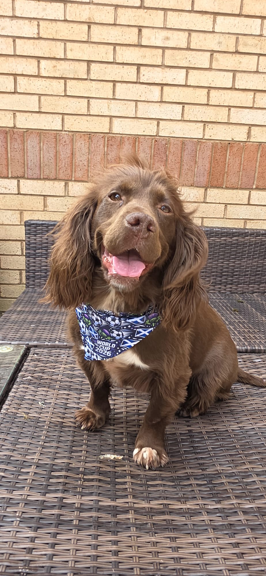 Scotland World Cup Bandana
