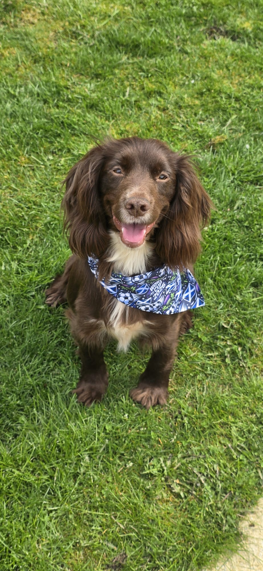 Scotland World Cup Bandana