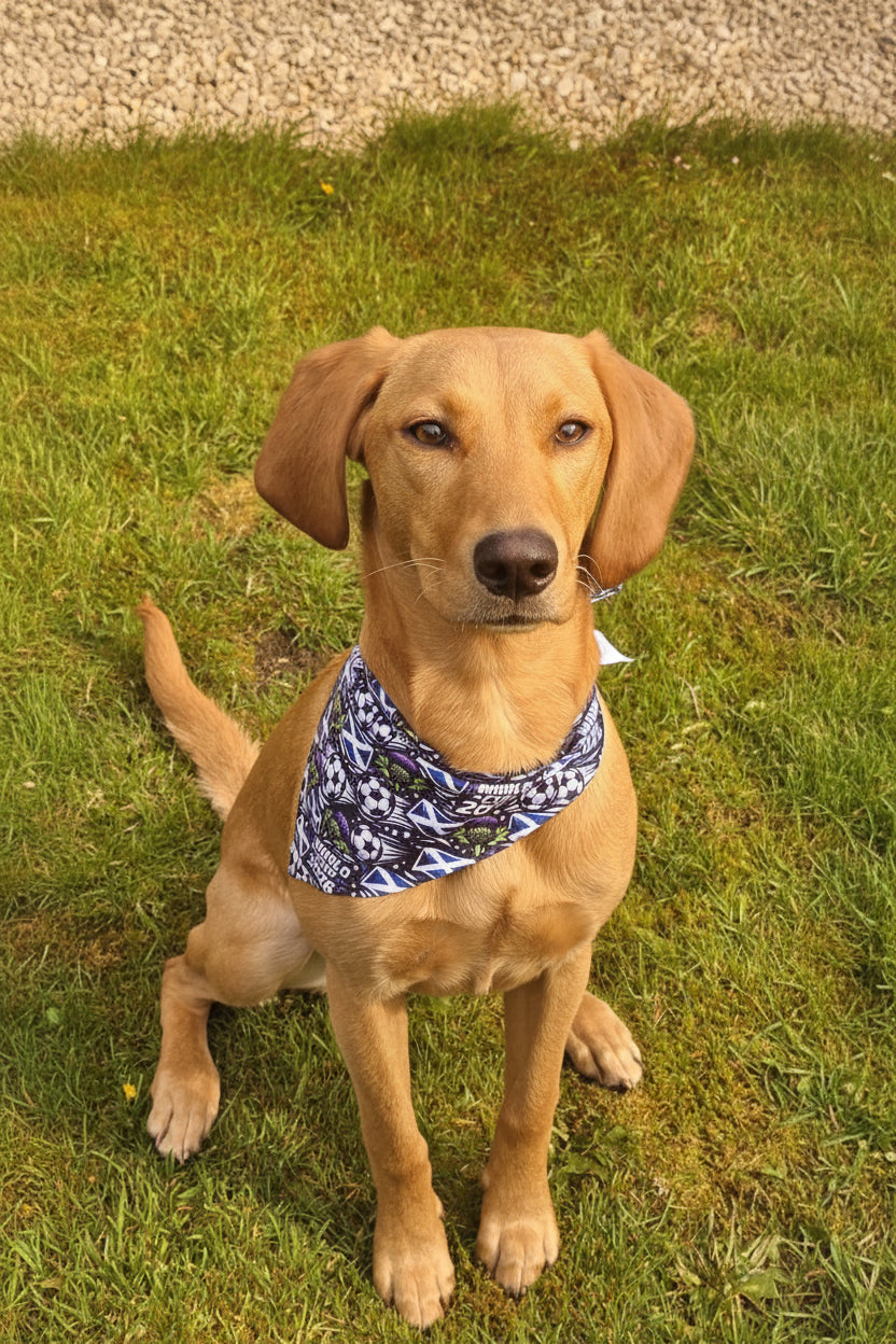 Scotland World Cup Bandana