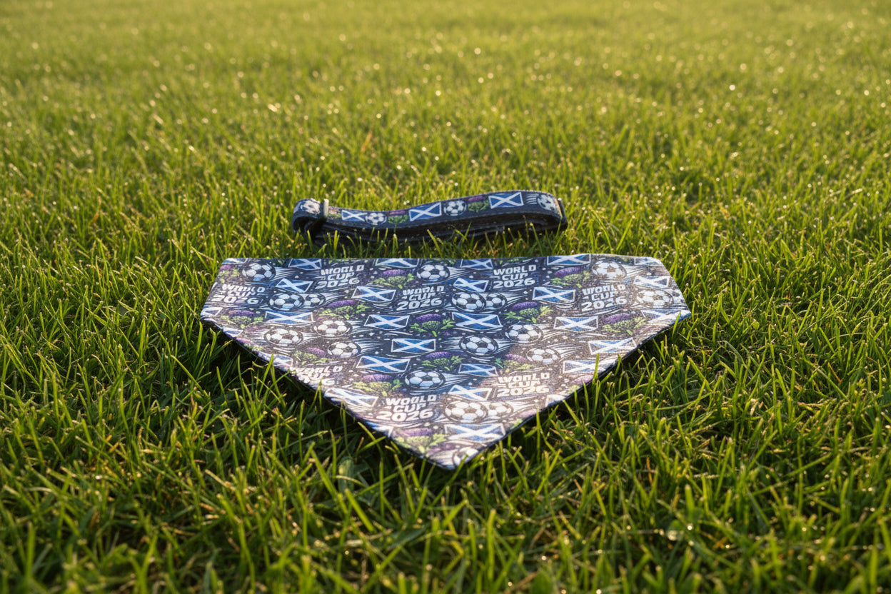 Dog collar and bandana with World Cup 2026 pattern on a plain background