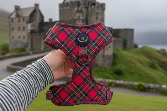 Red plaid dog harness held by a person with a blurred castle background