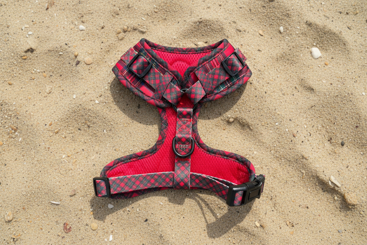 Red plaid dog harness on a concrete surface