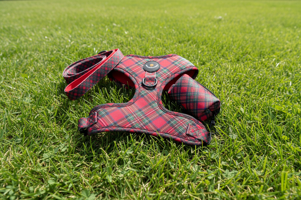 Royal Stewart Harness