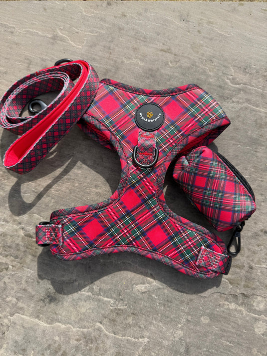 Royal Stewart Harness