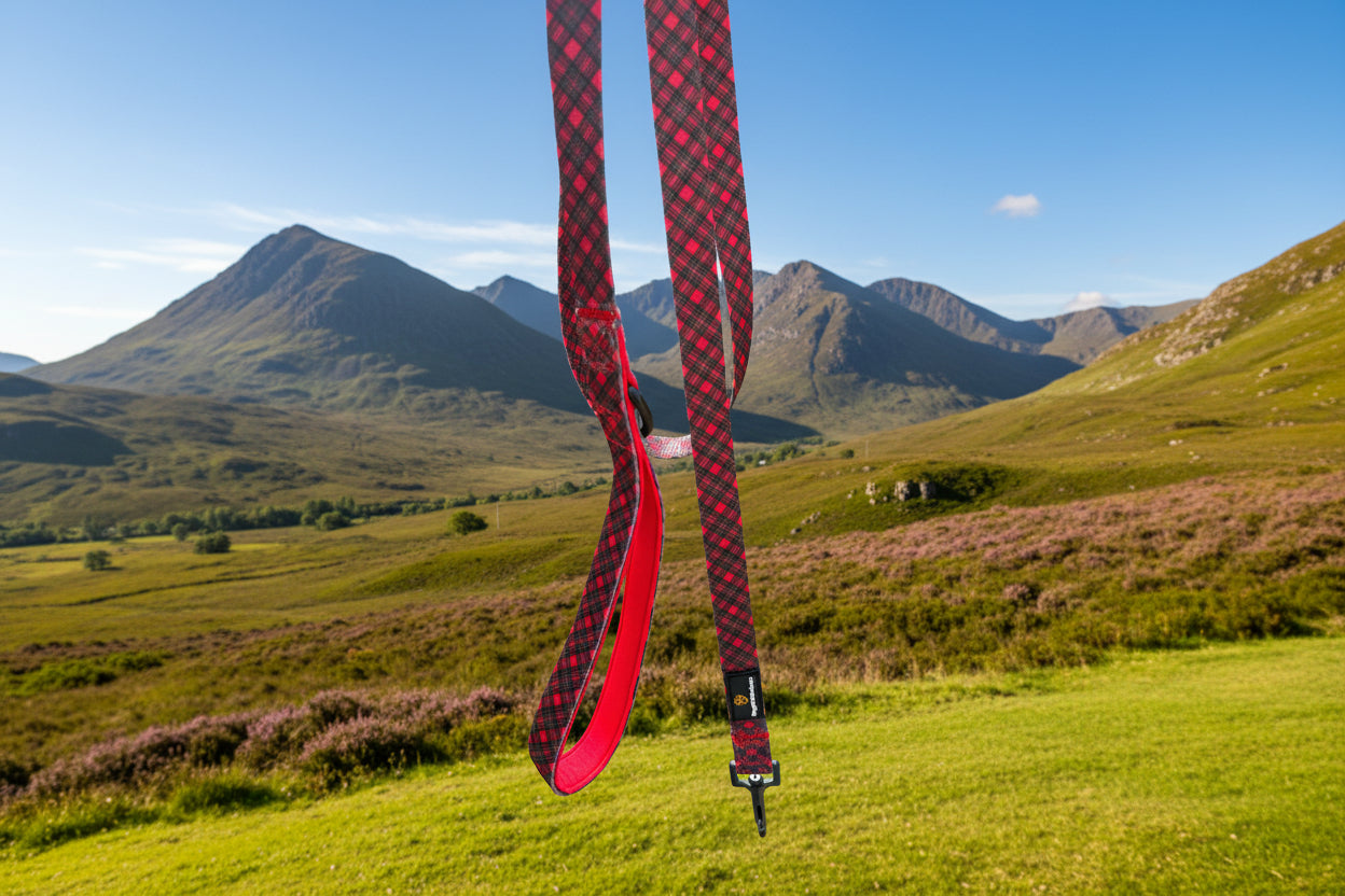 Royal Stewart Lead