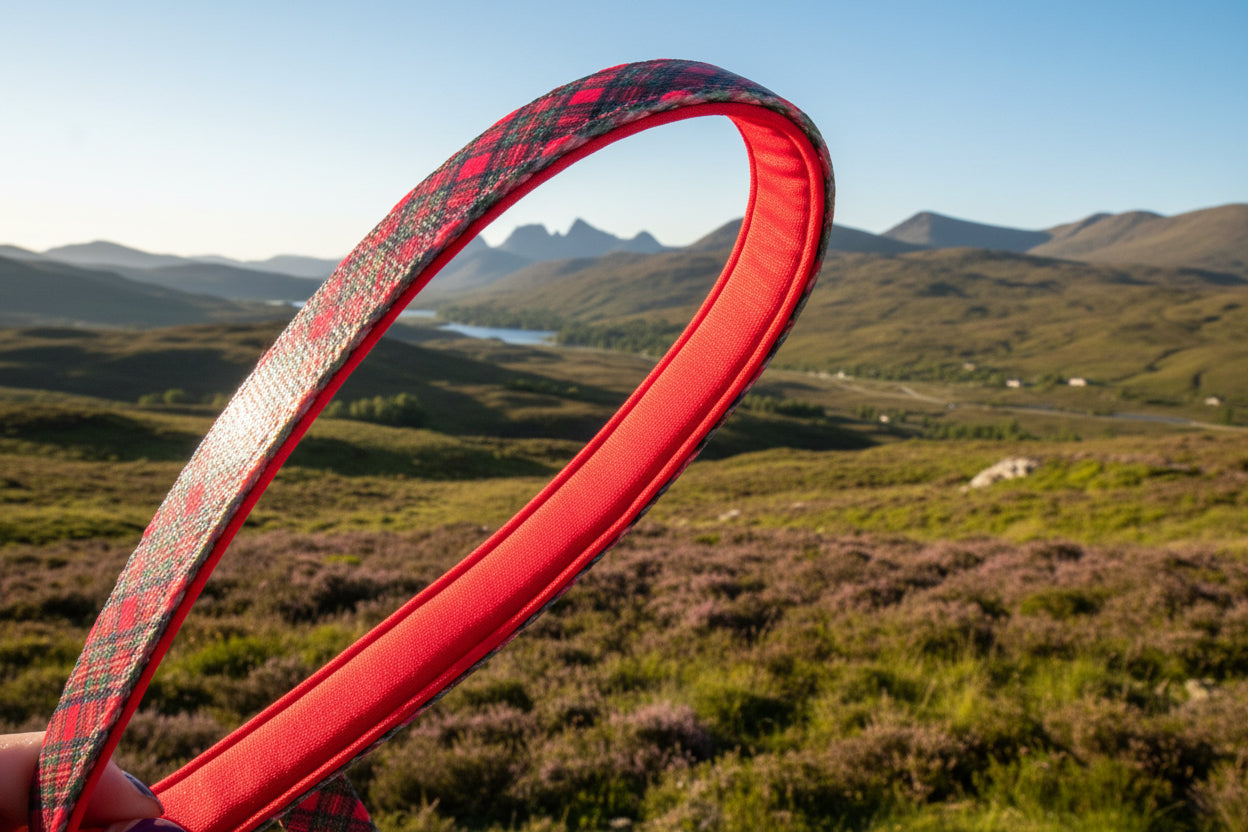 Royal Stewart Lead
