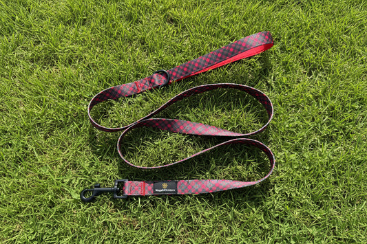Royal Stewart Lead