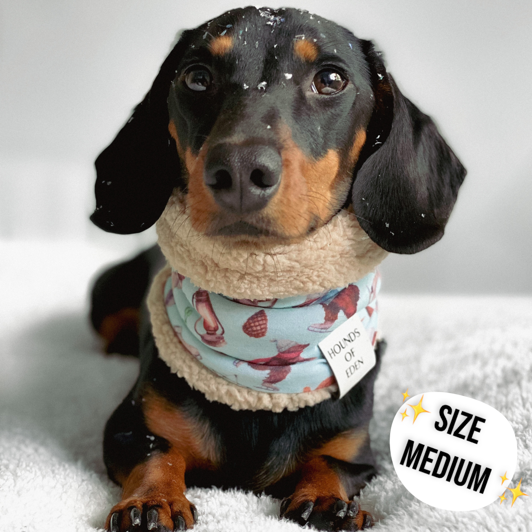 Florentina Dog Snood