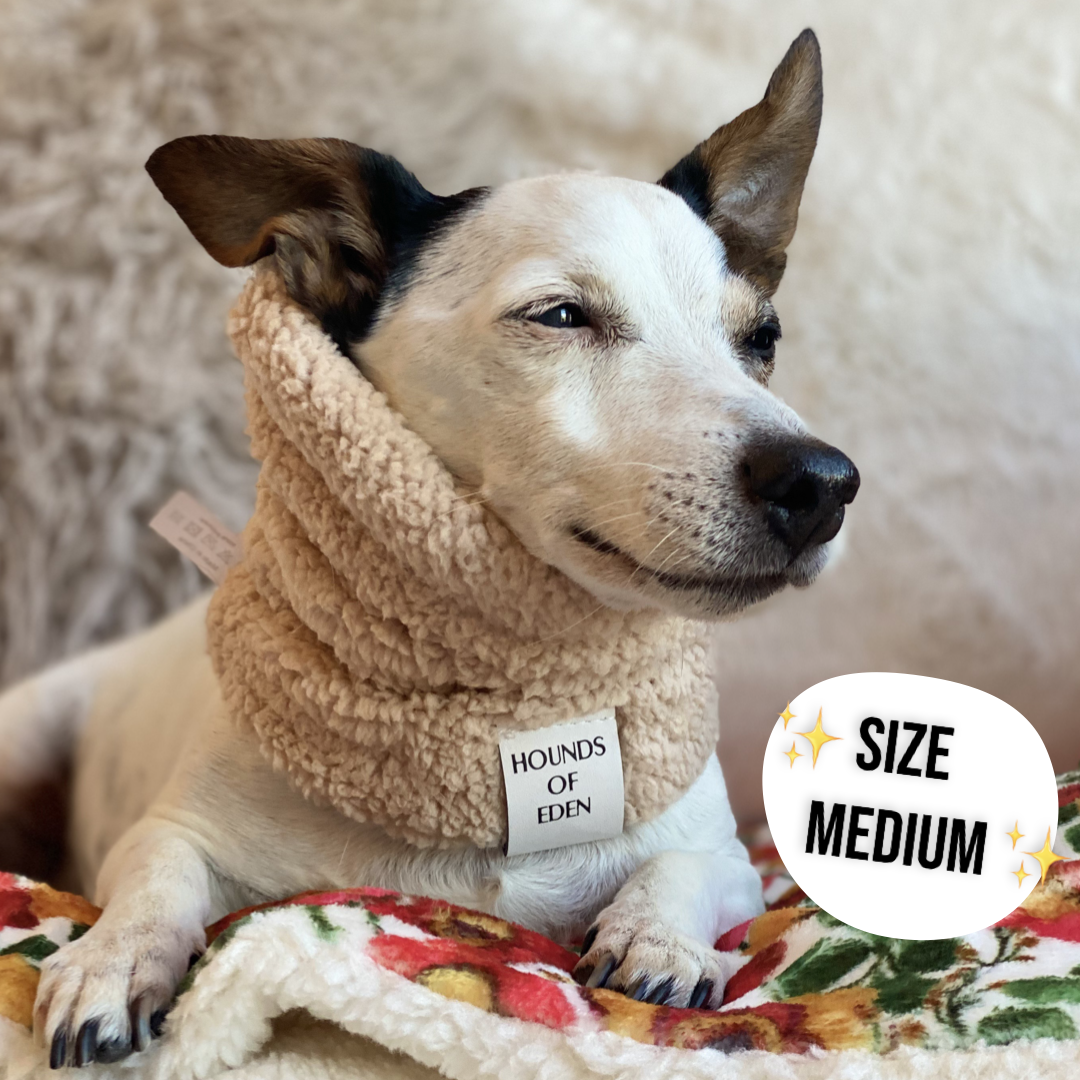 Florentina Dog Snood
