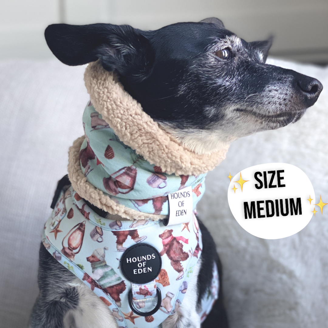 Florentina Dog Snood