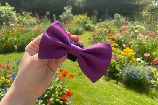 Magenta Bow Collar Accessory