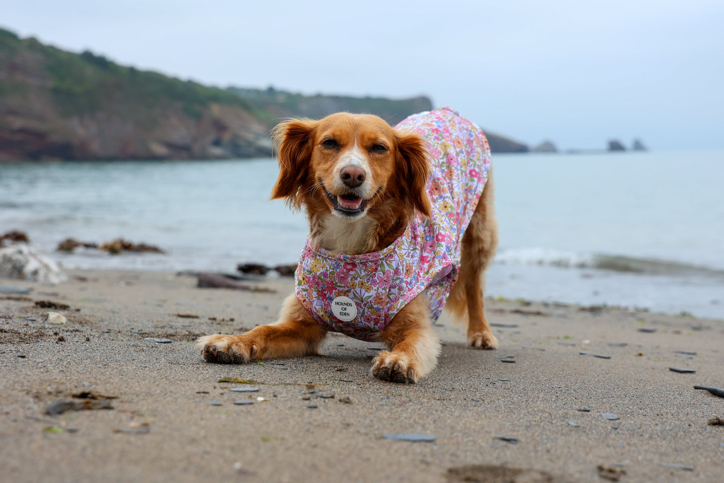 Pastel Petals Dog Cooling Vest