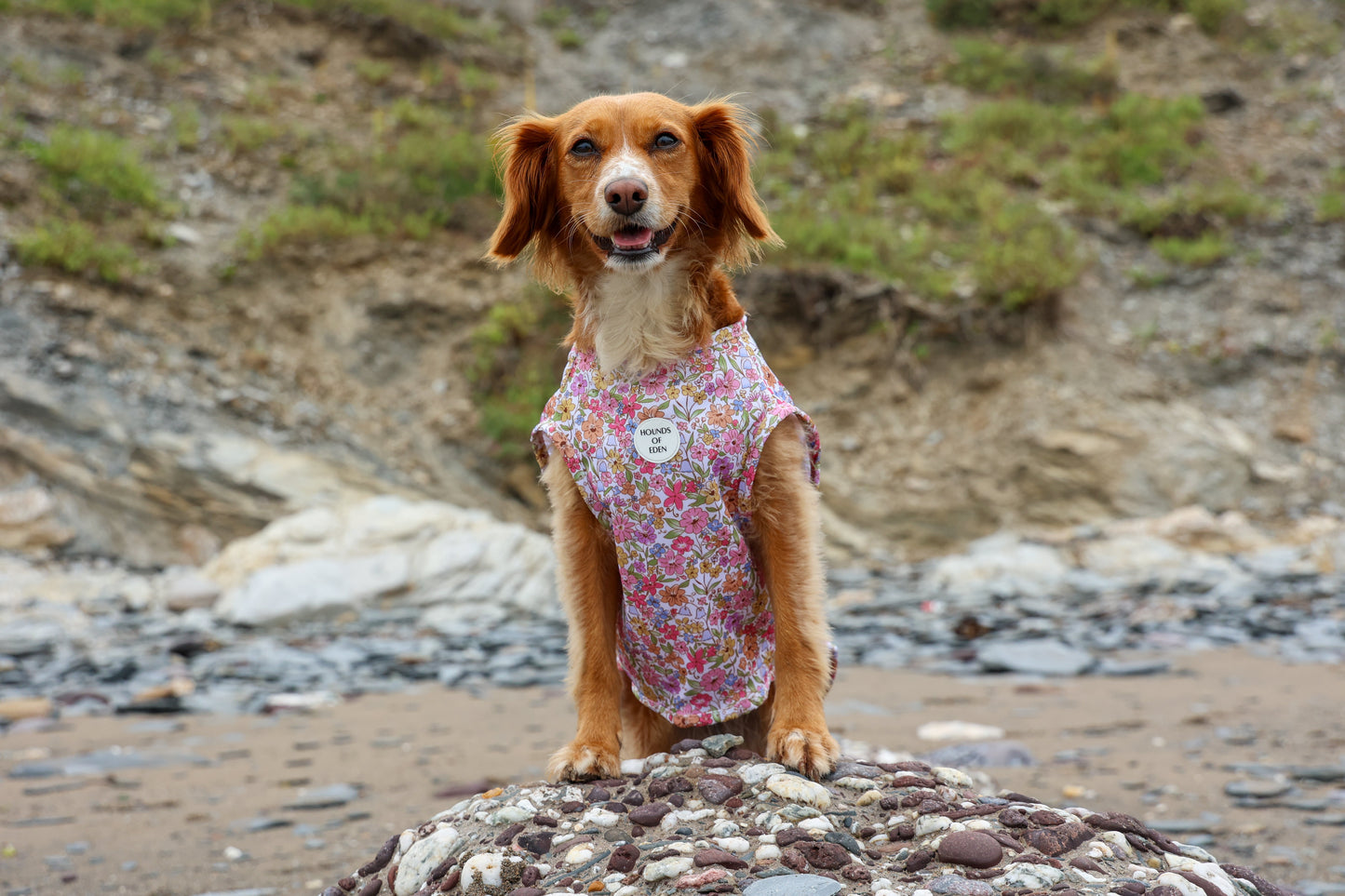 Pastel Petals Dog Cooling Vest
