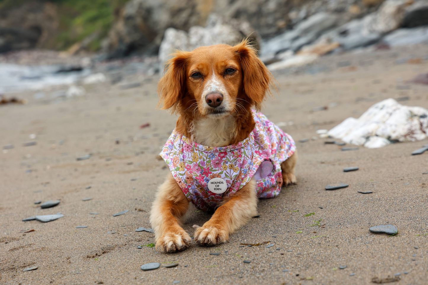Pastel Petals Dog Cooling Vest