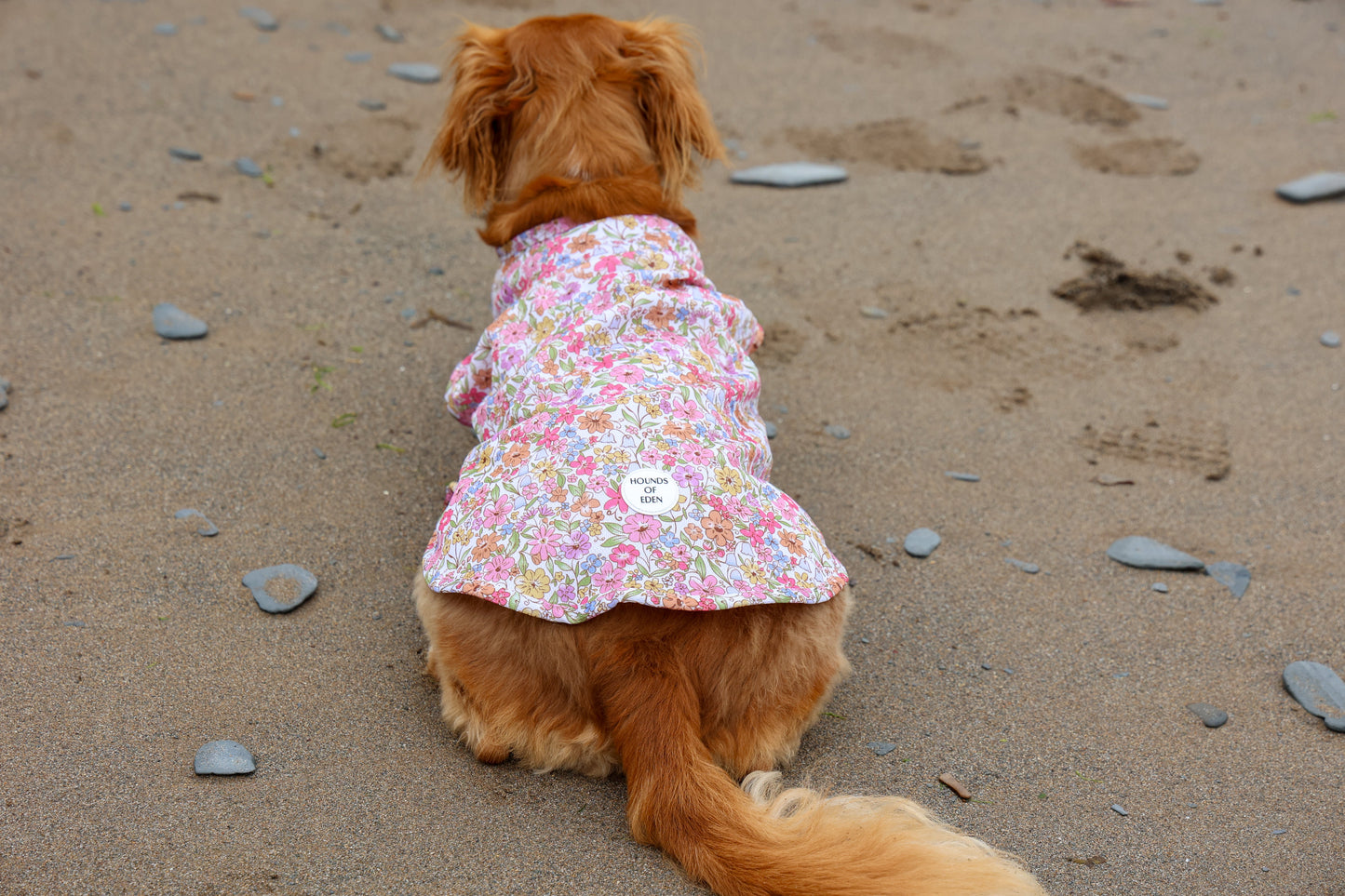 Pastel Petals Dog Cooling Vest