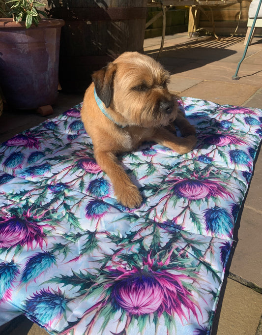 Water resistant travel training settle mat for dogs 