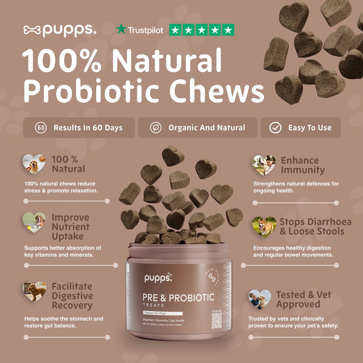 Pre & Probiotic Treats