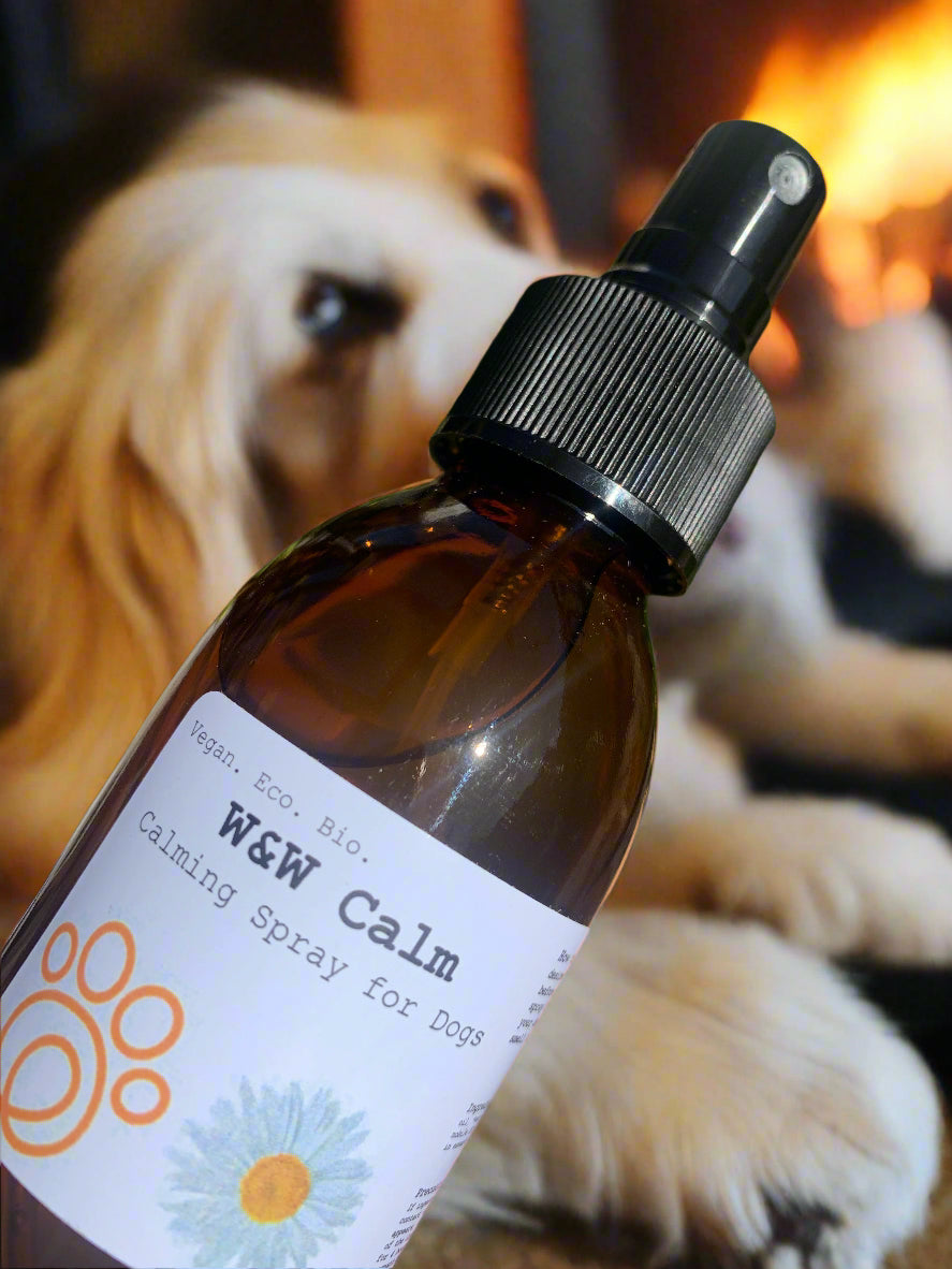 Natural calming remedy for dogs 